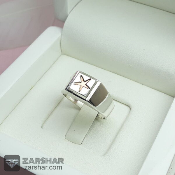 انگشتر ستاره ای حرز چهارده معصوم عکس انگشتر ستاره ای حرز چهارده معصوم