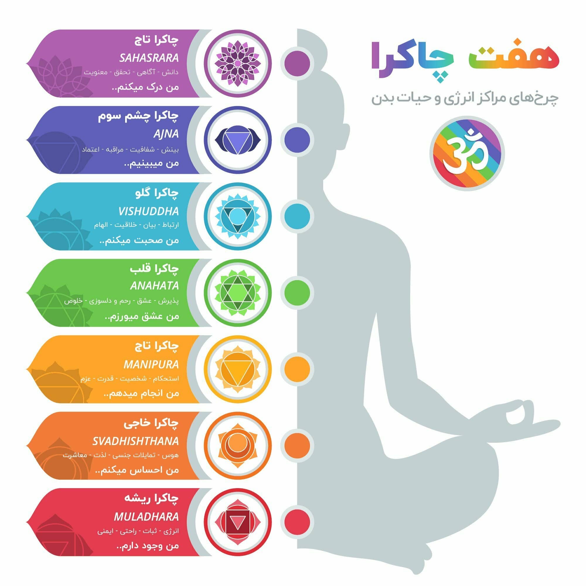 عکس ۷ چاکرای اصلی بدن چیست؟ محل هفت چاکرا