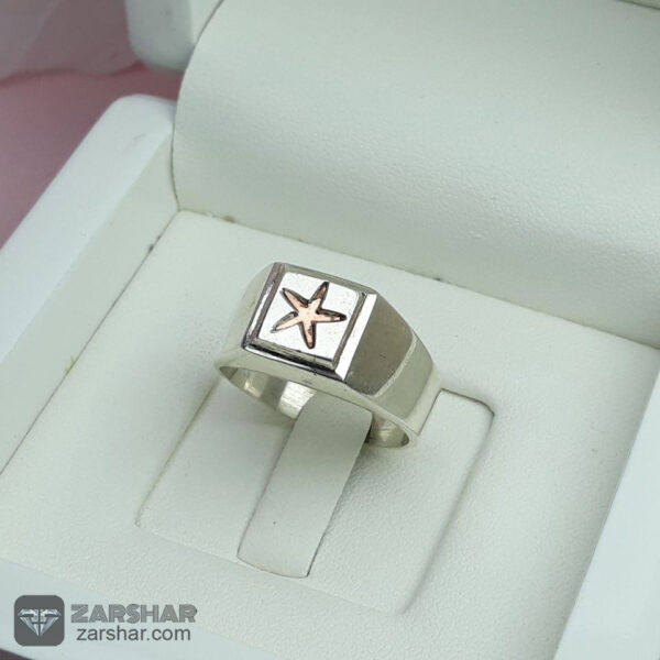 عکس انگشتر ستاره ای حرز چهارده معصوم