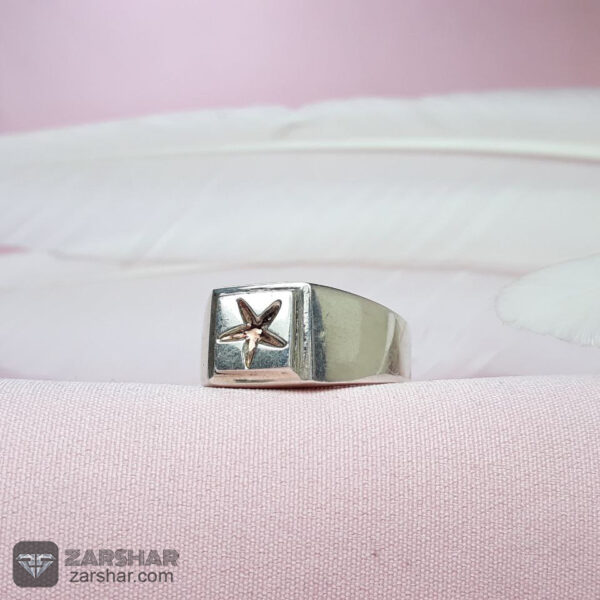 انگشتر ستاره ای حرز چهارده معصوم عکس انگشتر ستاره ای حرز چهارده معصوم