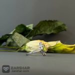 عکس انگشتر زنانه زبرجد