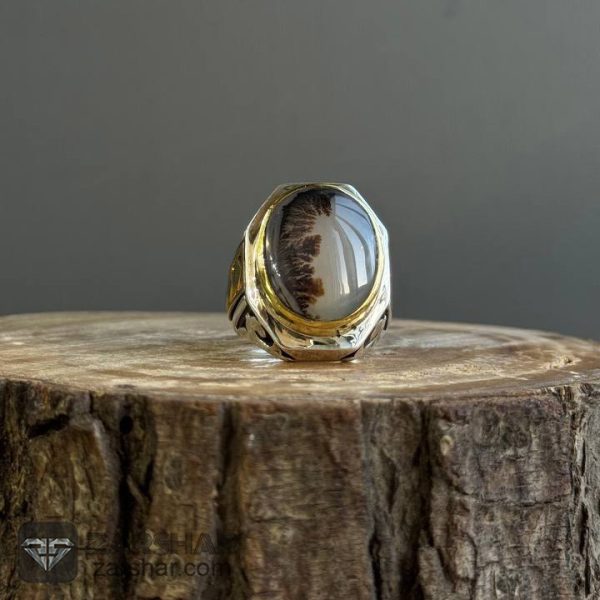 عکس انگشتر عقیق شجری قائن