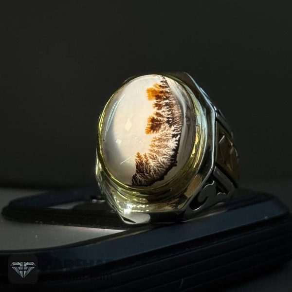 عکس انگشتر عقیق شجری قائن