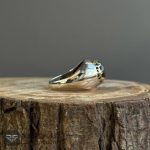 عکس انگشتر لابرادوریت