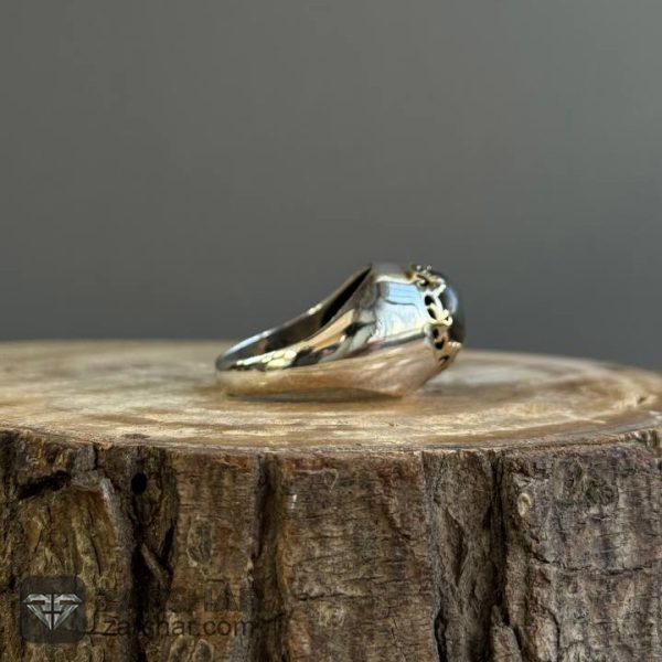 عکس انگشتر لابرادوریت