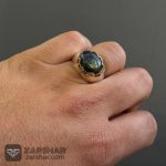 عکس انگشتر لابرادوریت